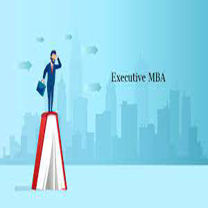 Top institutes to pursue executive MBA in 2024